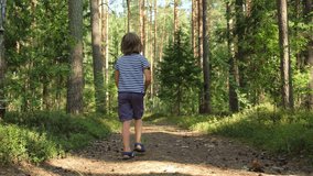 A little boy with long hair in striped T-shirt, shorts and sandals walks along forest path in pine forest and looks around in search of something. Cinematic back shot during warm sunny summer day - Powered by Shutterstock - Get 15% off with code: PIKWIZARD15