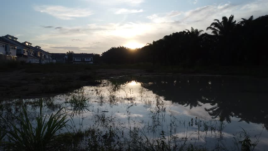 
dark early dawn sky around the aquatic vegetation pond outside the residential area.