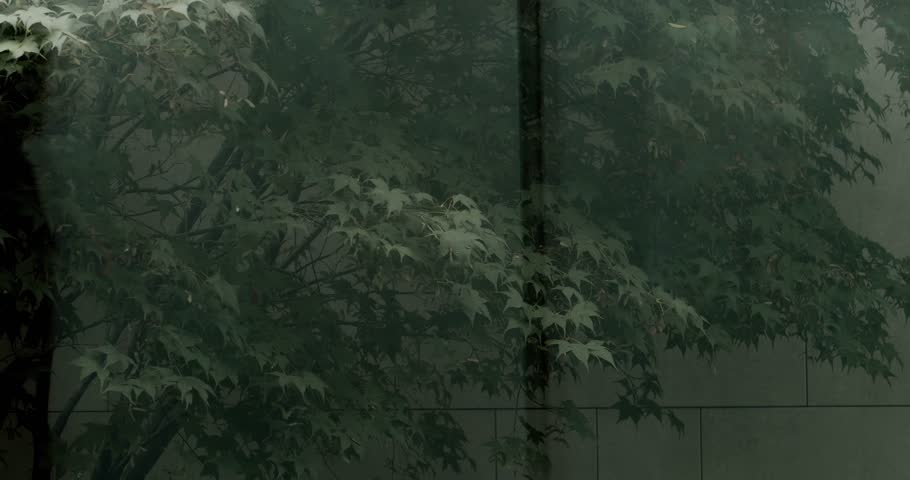 A shadowy human silhouette is seen behind a foggy glass wall, obscured by lush green leaves, creating an air of mystery and serenity. Mysterious Silhouette Behind Foggy Glass with Green Leaves