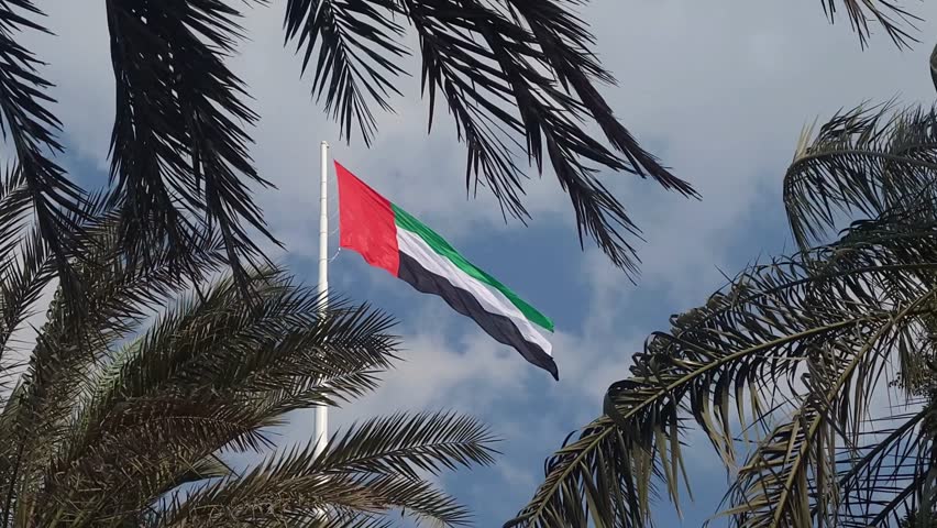 UAE flag waving in the blue sky between palm trees, national symbol of the country