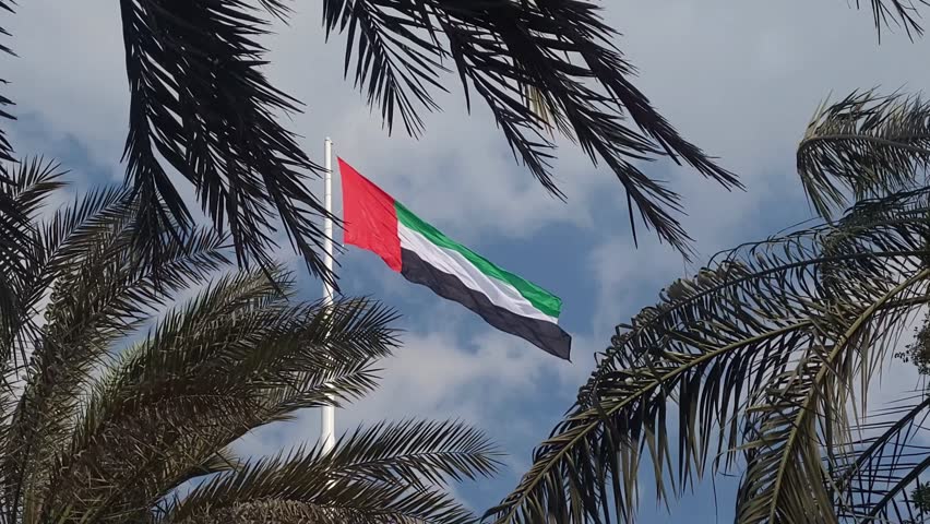UAE flag waving in the blue sky between palm trees, national symbol of the country
