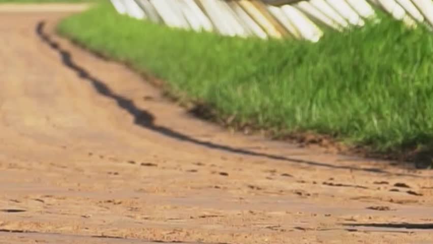 Horse racing at race track. horse racing track.