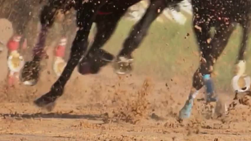 Shutterstock Video