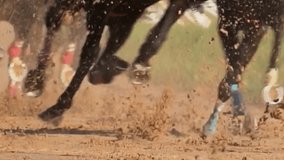 Horse racing at race track. horse racing track. - Powered by Shutterstock - Get 15% off with code: PIKWIZARD15
