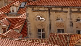 Seagulls glide over Dubrovnik's historic terracotta roofs, highlighting its stunning architecture and coastal charm. - Powered by Shutterstock - Get 15% off with code: PIKWIZARD15