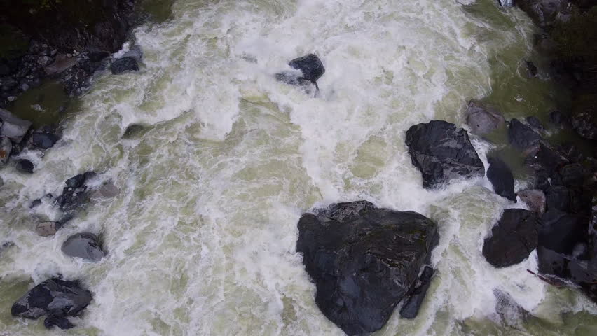 Aerial Drone River Rushing Whitewater Pacific Northwest Dense Forest