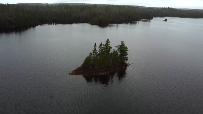 Video shot of riverscape with lush forest on a dense cloudy day.