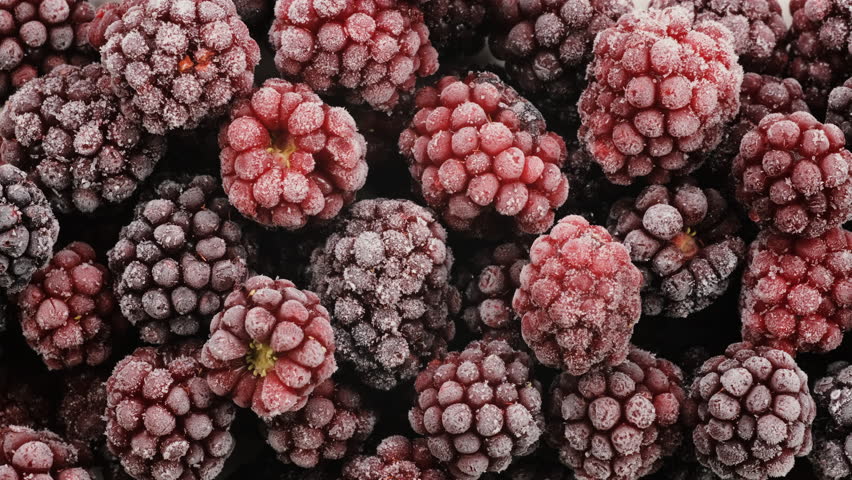 Top down view. Heap of frozen black and red raspberries covered with frost. Texture of frosty coating and vibrant berry tones. Frozen food, fruit, diet, organic food, dessert ingredients concepts. 4k