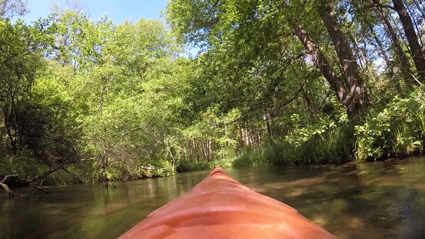 Kayaking down the verknes river in lithuania offers a unique first-person perspective of the tranquil waterway, surrounded by lush green trees and vegetation on a sunny day