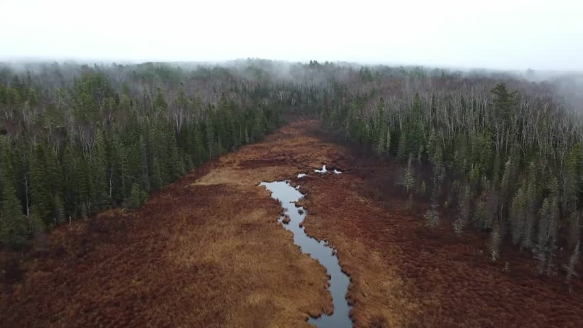 Incredible view of a small wetland surrounded by dry autumn grass and a lush forest under a dense, cloudy sky