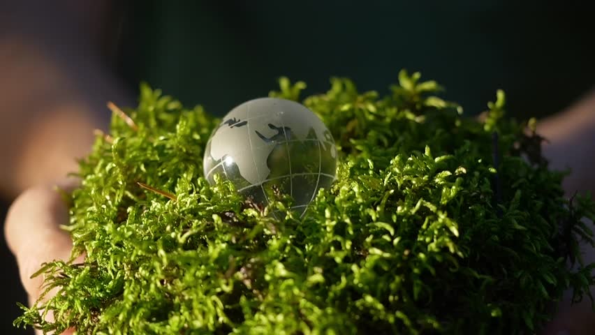Earth in Our Hands, Nurturing and Protecting Nature, Sustainable Future for All. A globe on lush greenery symbolizes deep environmental care, inspiring sustainable living and practices