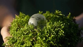 Earth in Our Hands, Nurturing and Protecting Nature, Sustainable Future for All. A globe on lush greenery symbolizes deep environmental care, inspiring sustainable living and practices - Powered by Shutterstock - Get 15% off with code: PIKWIZARD15