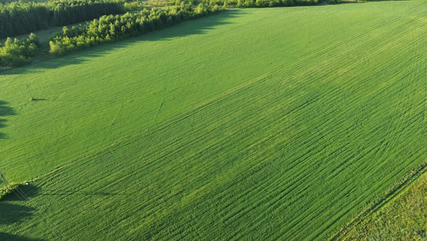 Aerial Shot of Dense Green Agriculture Land