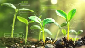 Seedlings growing with digital overlay representing agricultural technology - Powered by Shutterstock - Get 15% off with code: PIKWIZARD15