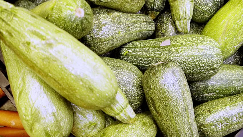 Courgette summer squash zucchini vegetable baby marrow plant fruit fresh eco bio