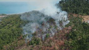 Scorched Earth tropical wildfire fight against global warming environmental consequences of tropical forest fire. Forest fires in climate change tropical forest fire contribute to global warming. - Powered by Shutterstock - Get 15% off with code: PIKWIZARD15