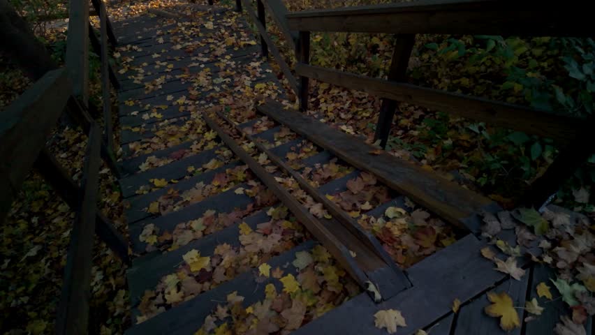Wooden steps covered in colorful autumn leaves, creating peaceful scene in Stockholm park