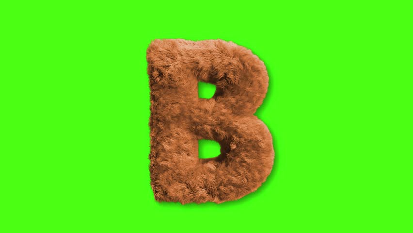 Letter B made of fur animation with green screen, alphabet in the form of fur texture.Vibrant Fur Alphabet Letters Dancing on Green Screen. letter B animation on transparent background, full set 4k