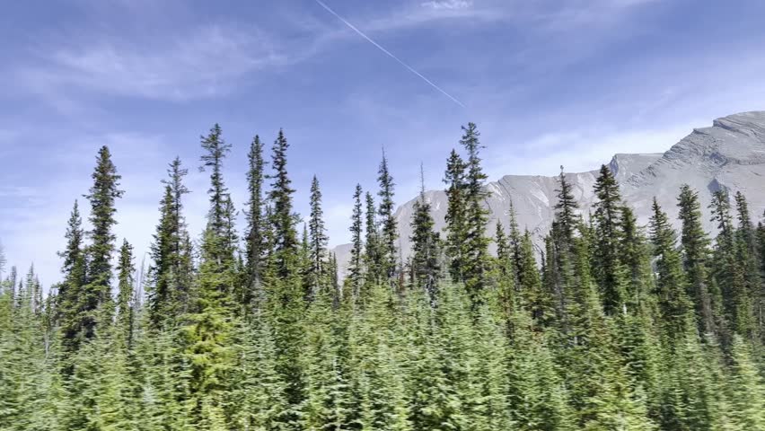 Lush evergreen forests and majestic Rocky Mountains as seen from moving vehicle in Banff National Park, Alberta, Canada. The dynamic perspective offers sense of adventure
