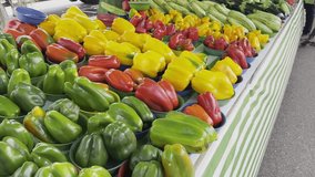 Urban fresh vegetable fair or market, variety of colorful vegetables: tomato, red bell pepper, green bell pepper, yellow bell pepper, eggplant, cucumbers, zucchini and onions. - Powered by Shutterstock - Get 15% off with code: PIKWIZARD15