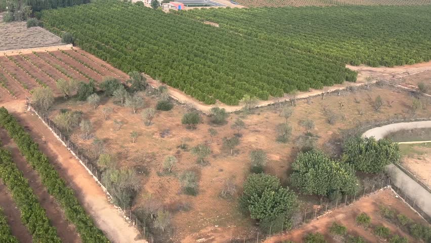 left side view of the silhoutte of a jet airplane during the landing on the runway at Valencia’s airport, Spain. Daylight. 4K 60FPS