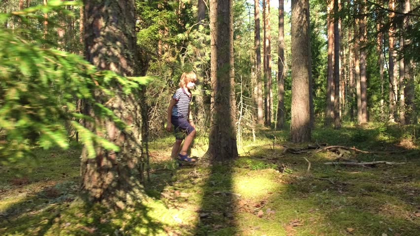 A little boy in a striped T-shirt and shorts walks through the forest in search of a missing thing. Lost in the forest and goes to look for help. Cinematic side shot during warm sunny summer day