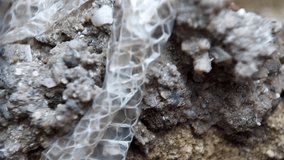 Snake Skin. Shedded Snake Skin. snake skin on garden fence with blur background. Shedded skin for education. Macro - Powered by Shutterstock - Get 15% off with code: PIKWIZARD15