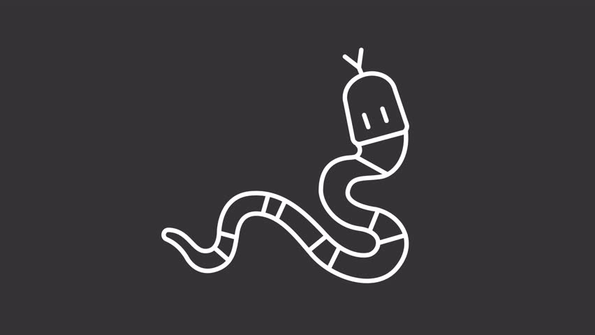 Animated snake white icon. Serpent line animation. Moving tongue, tail. Viper, exotic. Wildlife animal, reptile. Isolated illustration on dark background. Transition alpha video. Motion graphic
