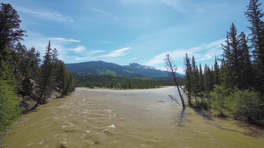 Jasper National Park summer landscape. Miette River before its confluence with the Athabasca River. Alberta, Canada. Canadian Rockies.