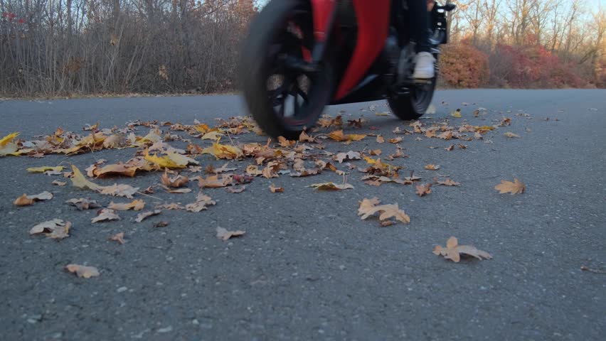 A Woman Rides A Sports Motorcycle Along A Wood Road Covered With Autumn Leaves