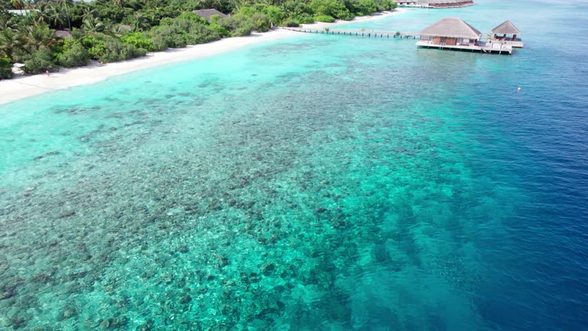 Turquoise clear water and the green island of Maldives. Top view of the ocean and the reef. Palm trees grow on the island. There are bungalows and villas. White sand on the beach. Fish are visible