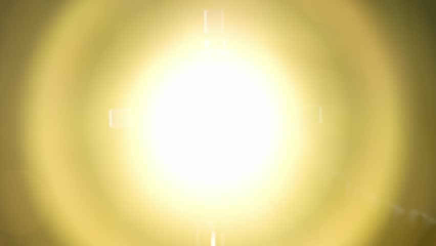 Shutterstock Video