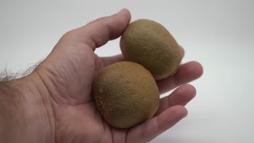 A closeup footage of a male hand holding two whole kiwis against a blur white background