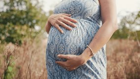 Happy Mother Carrying Child, Expecting For Baby. Amazing Motherhood. Pregnant - Powered by Shutterstock - Get 15% off with code: PIKWIZARD15