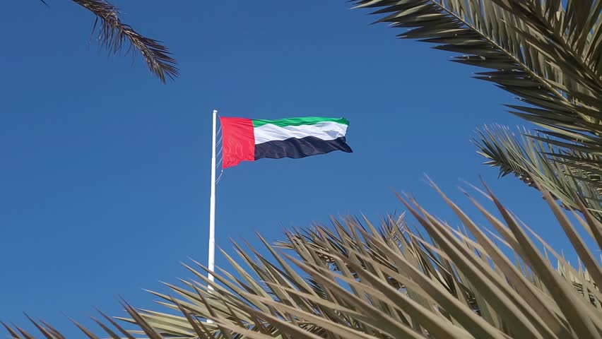 UAE flag waving in the blue sky between palm trees, national symbol of UAE. Reveal shot.