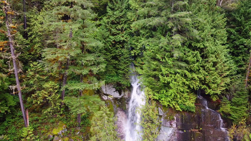 Small waterfall flowing out of lush Pacific Northwest Forest Day Aerial Drone cedar rocks