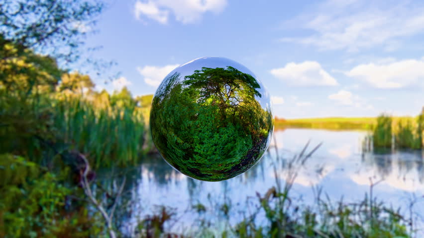 Shutterstock Video