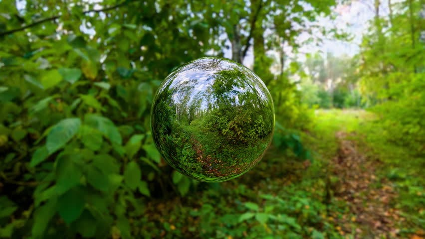 Looped rotating mirror ball in green forest path 3d render. Environmental conservation concept, nature protection, renewable resources, green energy. Chrome orb reflects surrounding forest way around