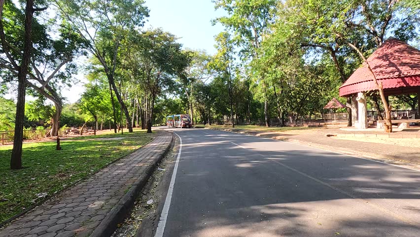 Tram travels through scenic zoo landscape