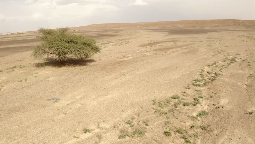 Negev Desert aerial view, Israel 
Flying over Hamada in Negev desert, Israel
