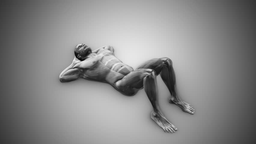 Abdominal Muscles Highlighted During Crunches