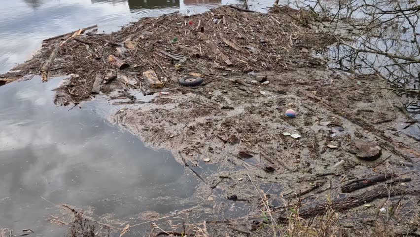 jam on the river from fallen stumps and branches. floating debris gets caught in the crown of a broken tree. there is garbage that will wash away with the sea