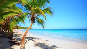 Palm beach and tropical sea on a sunny day. Beautiful view of the beach nature of the Seychelles. Exotic sea coast landscape with white sand and blue sky. Luxury resort background for summer vacation. - Powered by Shutterstock - Get 15% off with code: PIKWIZARD15