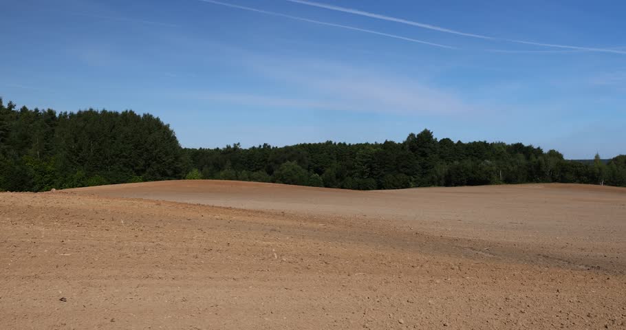 landscape on a plowed field during the preparation of the soil for sowing, trees growing in the forest in spring next to the field on which the soil was plowed for sowing grain