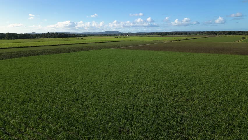 aerial views over sugar cane farms in South East Queensland, Australia