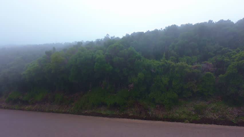 Strong wind blowing on Madeira island, bad weather condition on Madeira