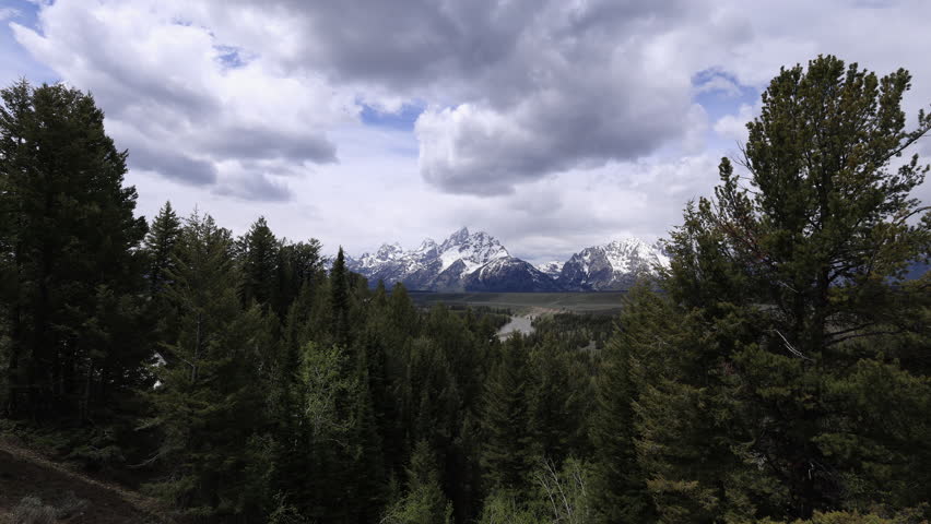 Snow-capped Grand Teton and surrounding mountain peaks gleam in the summer sun. Clouds drift across a vibrant blue sky, framed by evergreen trees, seen from the Snake River Overlook in Wyoming.