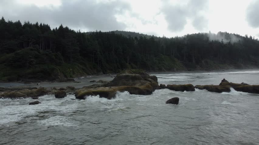 A serene drone flyover of Olympic National Park’s misty shoreline, revealing rugged cliffs, dense evergreens, and waves softly lapping the fog-shrouded coast.
