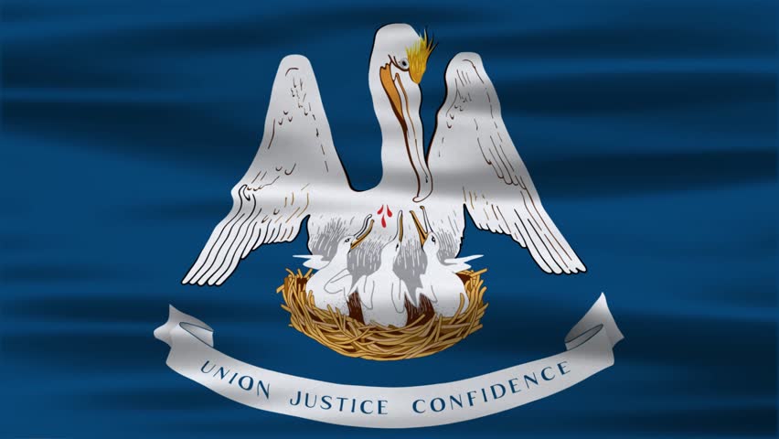 Close up animation of the Louisiana flag. Louisiana background. USA Template