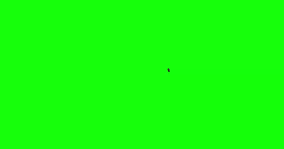 Confetti spiral ribbon long pink violet on green screen backgrund. Championship vibrant colors element concept for sport winner. Victory celebration symbol cartoon animation greenbox islated.